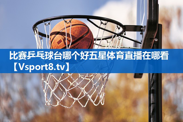 比赛乒乓球台哪个好五星体育直播在哪看