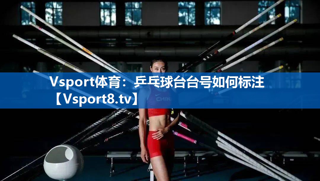 Vsport体育：乒乓球台台号如何标注