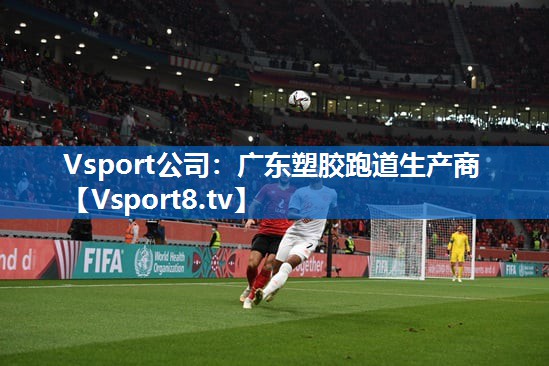 Vsport公司：广东塑胶跑道生产商