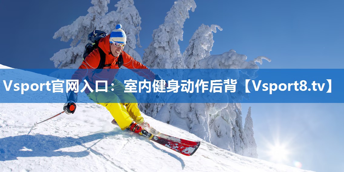 Vsport官网入口：室内健身动作后背