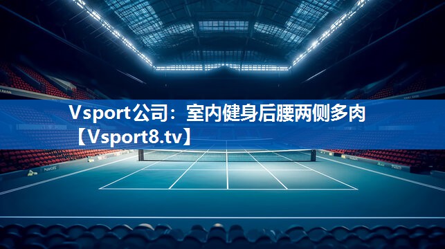 Vsport公司：室内健身后腰两侧多肉