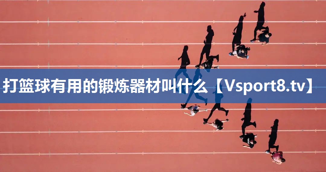 打篮球有用的锻炼器材叫什么