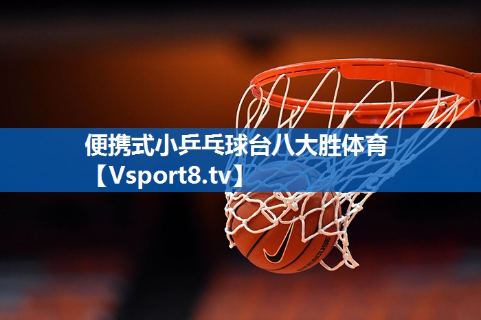 便携式小乒乓球台八大胜体育