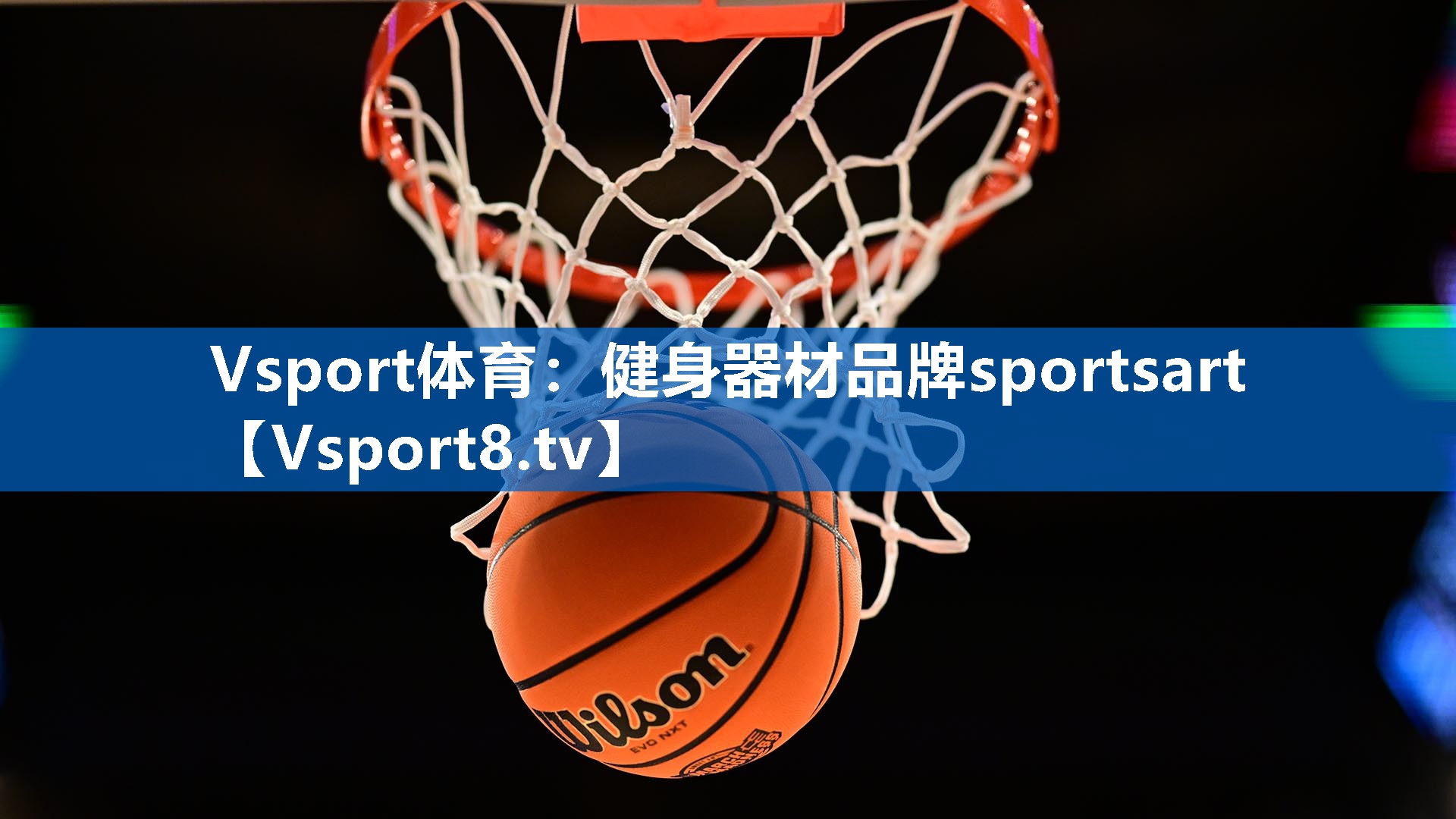 Vsport体育：健身器材品牌sportsart