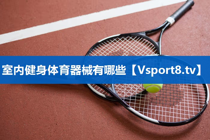 室内健身体育器械有哪些