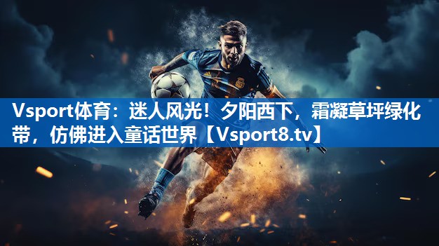 Vsport体育：迷人风光！夕阳西下，霜凝草坪绿化带，仿佛进入童话世界