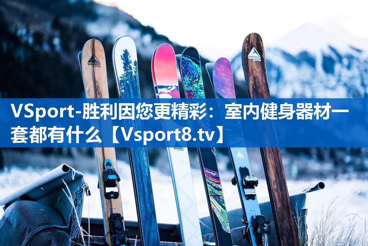 VSport-胜利因您更精彩：室内健身器材一套都有什么