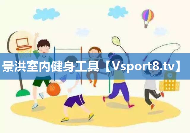景洪室内健身工具