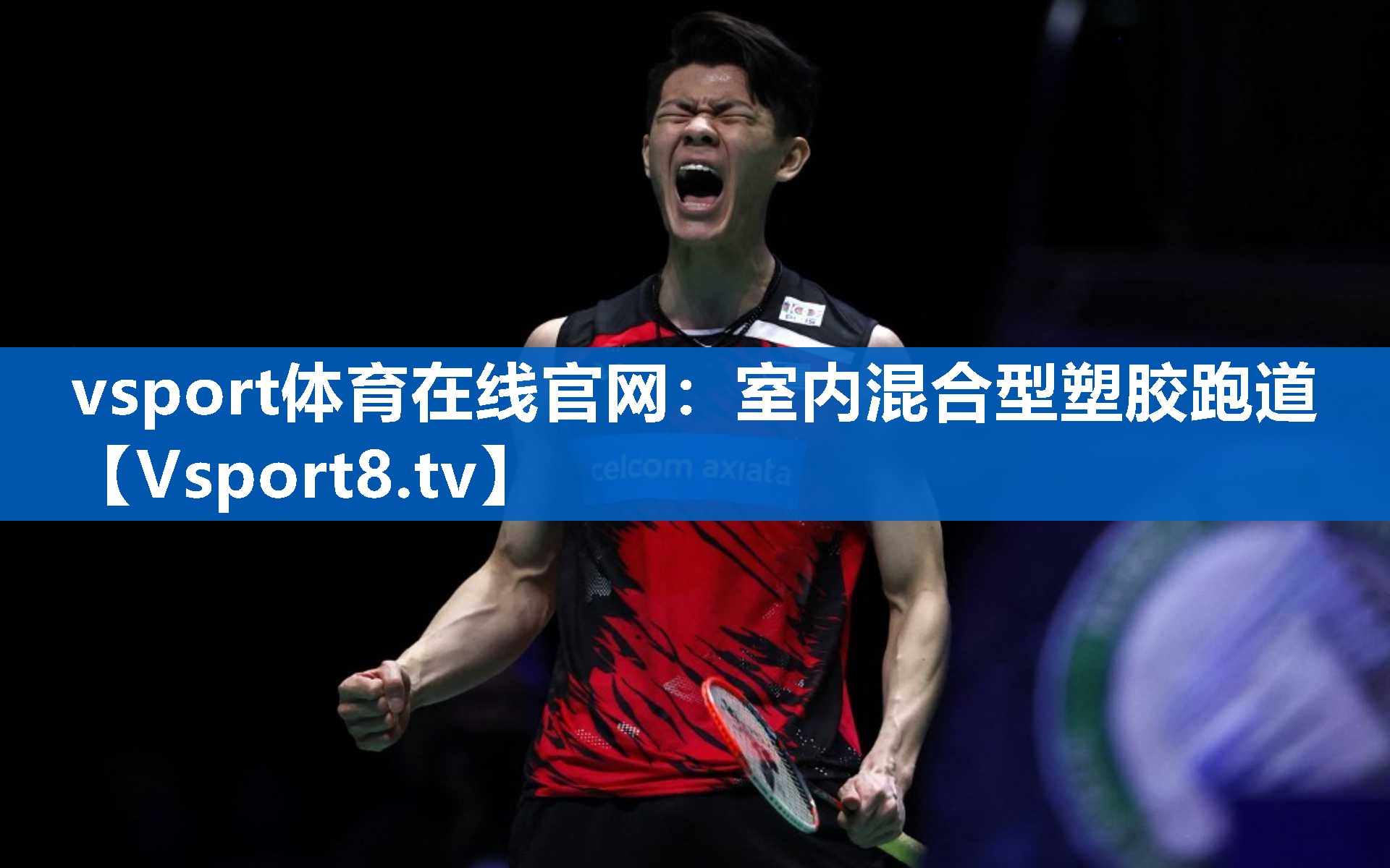 vsport体育在线官网：室内混合型塑胶跑道