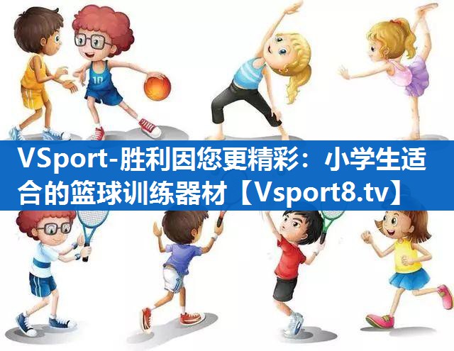 VSport-胜利因您更精彩：小学生适合的篮球训练器材