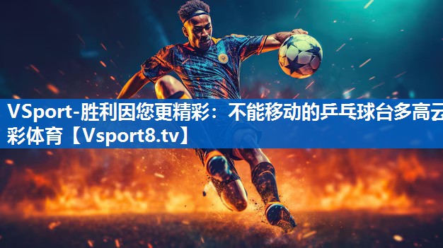VSport-胜利因您更精彩：不能移动的乒乓球台多高云彩体育