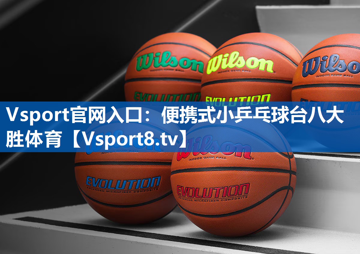Vsport官网入口：便携式小乒乓球台八大胜体育