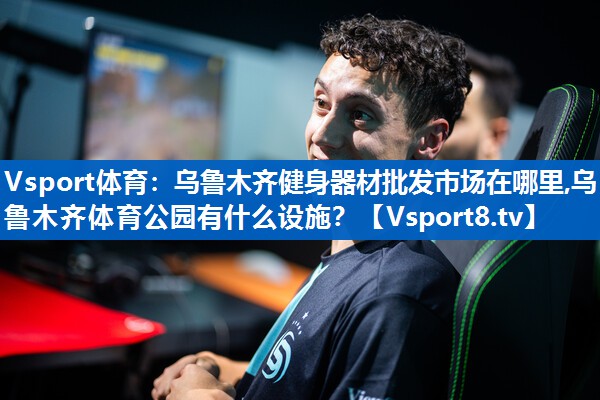 Vsport体育：乌鲁木齐健身器材批发市场在哪里,乌鲁木齐体育公园有什么设施？