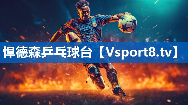 悍德森乒乓球台 悍德森乒乓球台