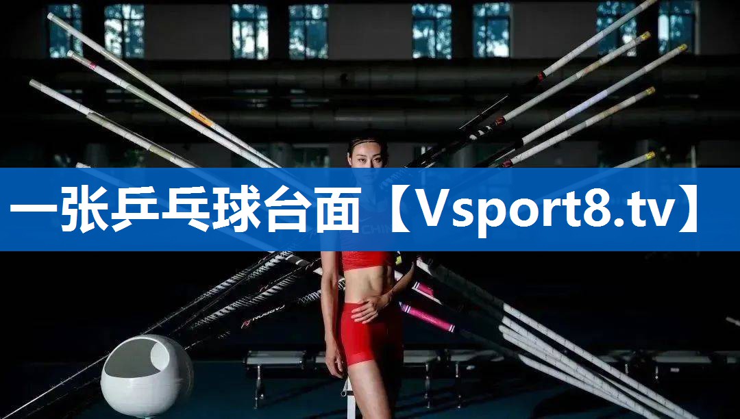 一张乒乓球台面 一张乒乓球台面