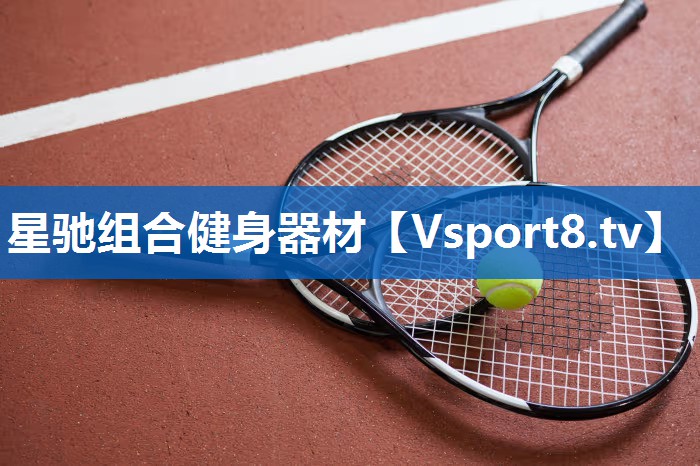 星驰组合健身器材 星驰组合健身器材