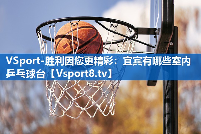 宜宾有哪些室内乒乓球台 宜宾有哪些室内乒乓球台
