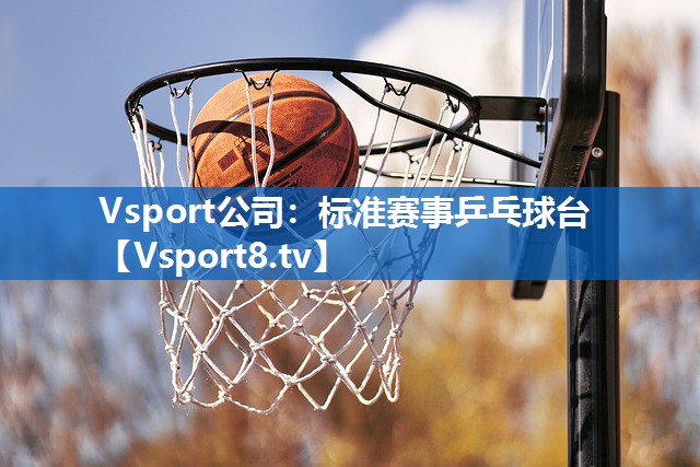 标准赛事乒乓球台 标准赛事乒乓球台