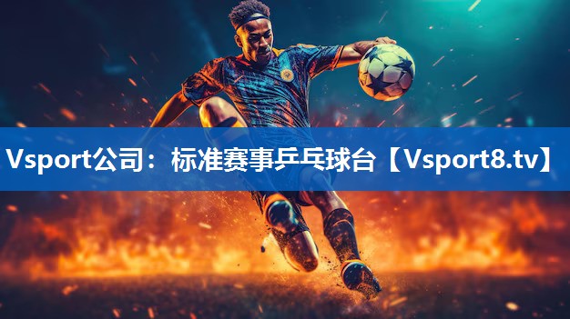 标准赛事乒乓球台 标准赛事乒乓球台