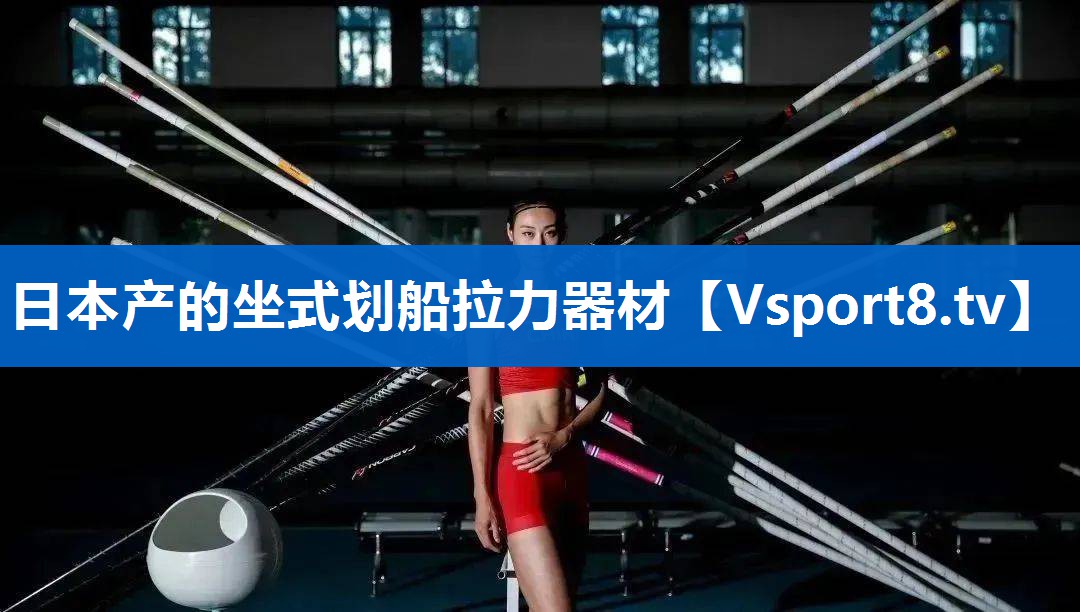 日本产的坐式划船拉力器材 日本产的坐式划船拉力器材